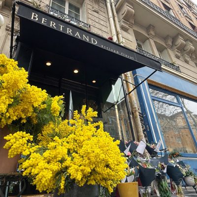 3E8B1A67-1D8A-41AD-878C-6F11A070C2B7